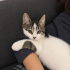 OYUNCAK GİBİ BİR BEBİŞ fotoğraf