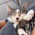 OYUNCAK GİBİ BİR BEBİŞ fotoğraf