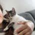 OYUNCAK GİBİ BİR BEBİŞ fotoğraf
