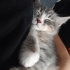 Masum bakışlı dünya tatlısı bebek fotoğraf