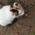 Gözlerim görmüyor ama siz beni görmeden geçmeyin fotoğraf