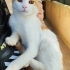 Kardeşlere Yuva Aranıyor fotoğraf