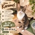 KARAMEL YUVASINI ARIYOR fotoğraf