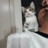 Minnacık biblo gibi güzel suratlı bir bebek🧿🐱 fotoğraf