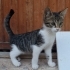 Huyu da kendi de güzel çocuk fotoğraf