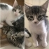 3 aylık bebeklerim fotoğraf