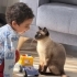 Eğlenceli uyumlu fotoğraf