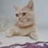 KISIR  AŞIRI SAKİN  BEBEĞİM fotoğraf