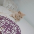 KISIR  AŞIRI SAKİN  BEBEĞİM fotoğraf