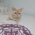KISIR  AŞIRI SAKİN  BEBEĞİM fotoğraf