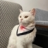 Acil Ankara Yuva fotoğraf