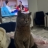 Afacana yuva arıyoruz fotoğraf