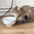 Güzel kıza acil yuva fotoğraf