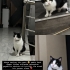 Çok uyumlu, masum dünya güzeli fotoğraf