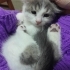 Kardeşleri yuvalandı tek kaldı fotoğraf