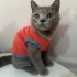 Müco tatlış oğlan fotoğraf
