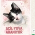 Dünya güzeli şirin mi şirin oyuncu güzelim yuvasını arıyor fotoğraf