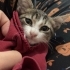 Minik yuva arıyor fotoğraf