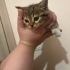 Bebiş kıza ömürlük yuva fotoğraf