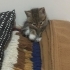 Bebiş kıza ömürlük yuva fotoğraf