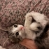 ANNESİZ BEBEK YUVA ARIYOR fotoğraf
