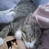 AİLEM İSTEMEDİĞİ İÇİN ÖMÜRLÜK YUVASINI ARIYORUM fotoğraf