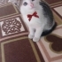 Bu yakışiklı size gelsin mi fotoğraf
