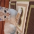 Sarışin oğlum size gelsin mi fotoğraf