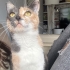 Bella Kıza Ömürlük Yuva fotoğraf