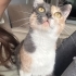 Bella Kıza Ömürlük Yuva fotoğraf