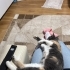 Bella Kıza Ömürlük Yuva fotoğraf