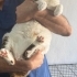 Yakışıklıya Yuva arıyoruz fotoğraf