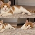 Tatlı oğlumuz Mısır fotoğraf