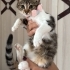 Minnoş Bebeğe Acil Yuva fotoğraf