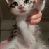 annesiz 3 aylık yavru kedi fotoğraf
