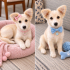 Ücretsiz sahiplenme fino köpek acil yuva fotoğraf