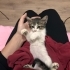 Turşu'ya Acil Yuva fotoğraf