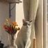 Acil kalıcı yuva arıyoruz fotoğraf
