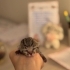 Minicik Bir Bebek fotoğraf
