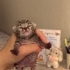 Minicik Bir Bebek fotoğraf