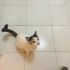 Şons şansları siz olabilirsiniz acil yuva fotoğraf