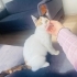 Şons şansları siz olabilirsiniz acil yuva fotoğraf