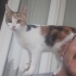 Momo'ya yuva arıyoruz. Geçici yuvasında vakti bitmek üzere. fotoğraf