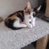 İZMİR 3 BEBEĞİMİZ EVDE DOĞDU BÜYÜYOR fotoğraf