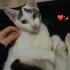 Hayatınıza neşe,evinize huzur katacak masum oğluş fotoğraf