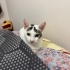Hayatınıza neşe,evinize huzur katacak masum oğluş fotoğraf
