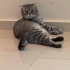 Sakin oyuncu kızım fotoğraf