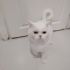 Kizimiza Yuva Arıyoruz fotoğraf