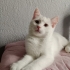 İZMİR ALIN KOYNUNUZDA UYUTUN fotoğraf