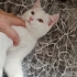 İZMİR ALIN KOYNUNUZDA UYUTUN fotoğraf
